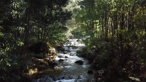 4k Drone video of a river with trees, with some sun flares. This shoot it Stock Footage 102711372