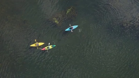 4K drone view above tree boats in lake Stock Footage 123858082