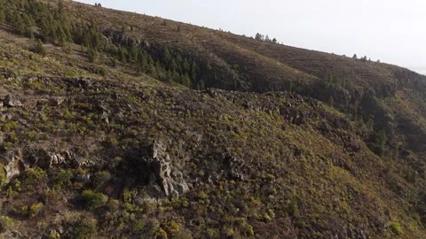 4K Drone View of Barranco del Pozo Canyon – Scenic Tenerife Aerial Stock Footage 314607463