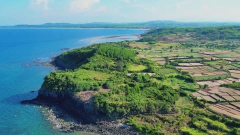 4K Drone View of Bird Cliff and Mosaic Garlic Fields Stock Footage 332384084