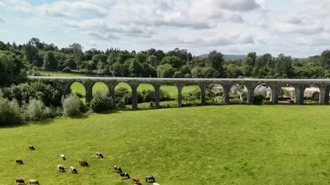 4K Drone View of Borris Viaduct in County Carlow Stock Footage 333335793