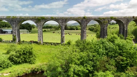 4K Drone View of Borris Viaduct in County Carlow Stock-Footage 333335822