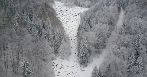 4K Drone view in cloudy and snowy mountains12 Stock Footage 125764872