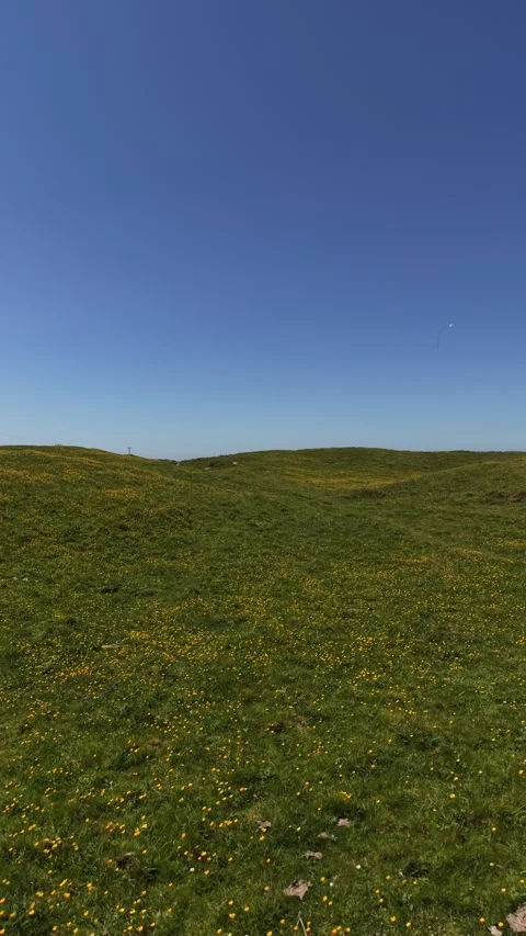 4K Drone View of Grassy Hills and Path Under Clear Blue Sky Stockbeeldmateriaal 335621085