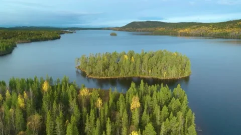 4K drone view of lake-covered forest terrain in Karelia, Russia, showcasing gold Stock Footage 308961312