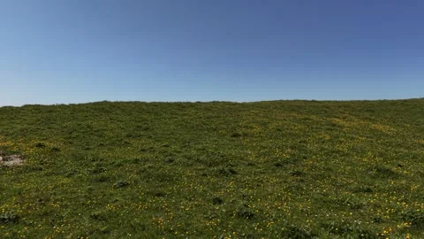 4K Drone View of Open Grassland Landscape Under Clear Blue Sky Stockbeeldmateriaal 335620967
