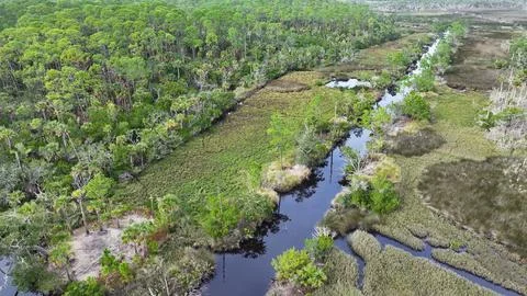 4K Drone View of the Ormond Beach Scenic Loop Drive Landscape Foto stock