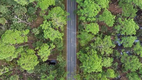 4K Drone View of the Ormond Beach Scenic Loop Drive Landscape Stock Photos