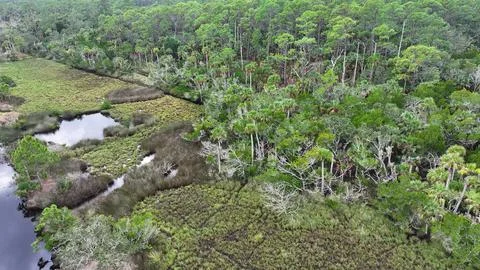 4K Drone View of the Ormond Beach Scenic Loop Drive Landscape Stock Photos