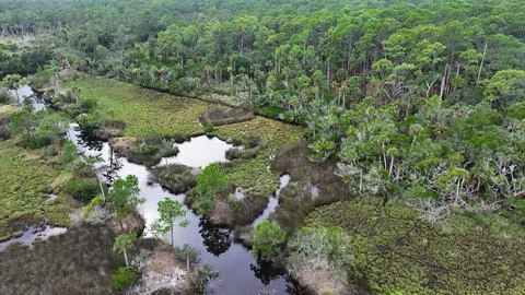 4K Drone View of the Ormond Beach Scenic Loop Drive Landscape Stock Photos