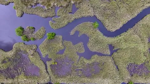 4K Drone View of the Ormond Beach Scenic Loop Drive Landscape Stock Photos