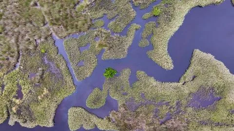 4K Drone View of the Ormond Beach Scenic Loop Drive Landscape Stock Photos