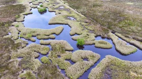 4K Drone View of the Ormond Beach Scenic Loop Drive Landscape Stock Photos