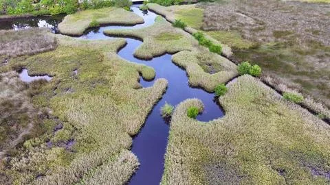 4K Drone View of the Ormond Beach Scenic Loop Drive Landscape Stock Photos