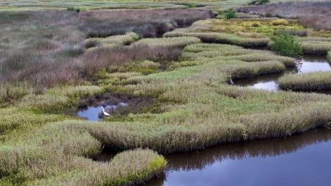 4K Drone View of the Ormond Beach Scenic Loop Drive Landscape Stock Photos