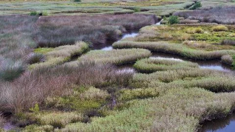 4K Drone View of the Ormond Beach Scenic Loop Drive Landscape Stock Photos