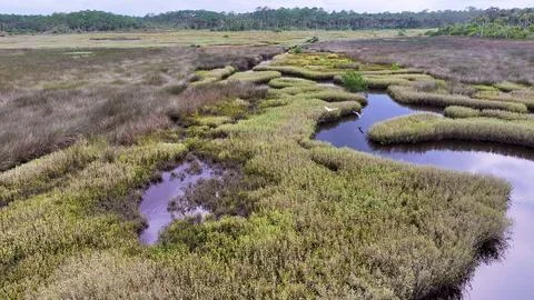 4K Drone View of the Ormond Beach Scenic Loop Drive Landscape Stock Photos