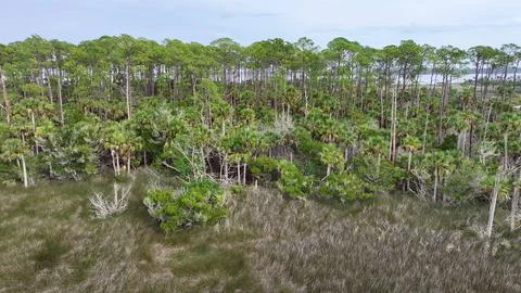 4K Drone View Of The Ormond Beach Scenic Loop Drive - Florida Landscape Stock Photos