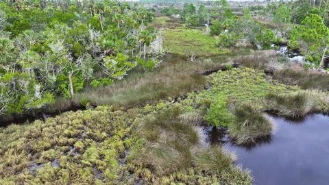 4K Drone View Of The Ormond Beach Scenic Loop Drive - Florida Landscape Stock Photos
