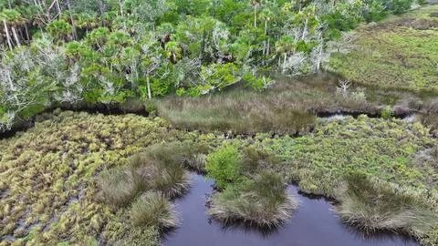 4K Drone View Of The Ormond Beach Scenic Loop Drive - Florida Landscape Stock Photos