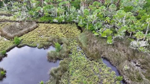 4K Drone View Of The Ormond Beach Scenic Loop Drive - Florida Landscape Stock Photos