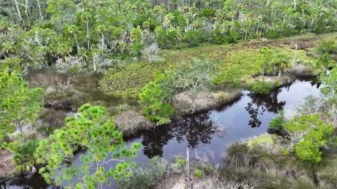 4K Drone View Of The Ormond Beach Scenic Loop Drive - Florida Landscape Stock Photos
