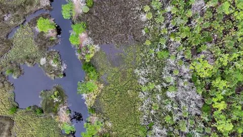 4K Drone View Of The Ormond Beach Scenic Loop Drive - Florida Landscape Stock Photos