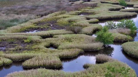 4K Drone View Of The Ormond Beach Scenic Loop Drive - Florida Landscape Stock Photos