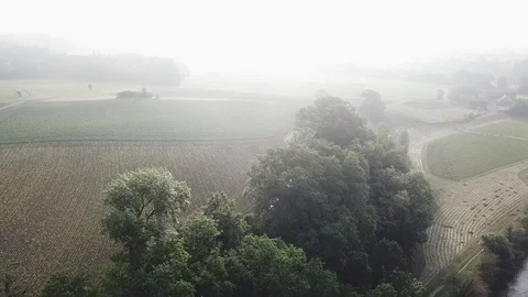4K Drone View over field with fog and misty. Crossing street on sunset. 스톡 동영상 90772146