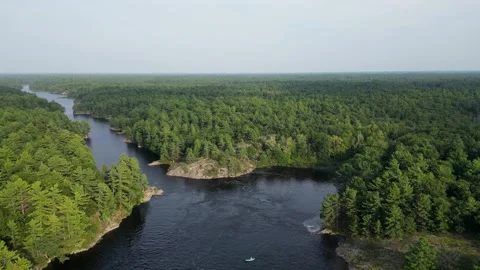 4K Drone view of a Scenic Forest and River Stock Footage 248549316