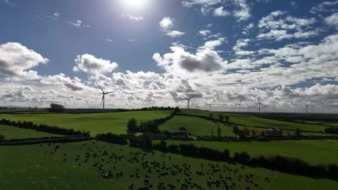 4K drone view of sunlit green countryside fields Видео 333707560