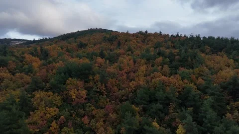 4k drone view on top of the mountain Stock Footage 295434042
