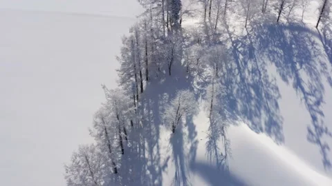 4k drone view of trees in winter  Niseko Hokkaido Japan Stock Footage 205245885