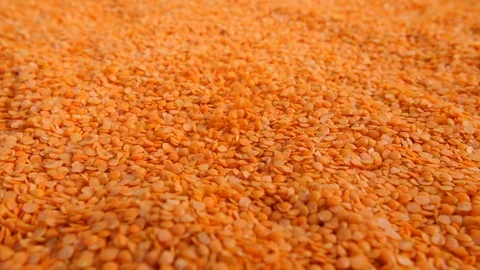 4K Dry red lentils falling onti a pile on whit backfround Stock Footage 90172745