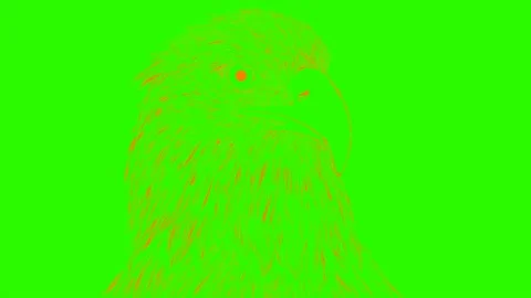 4k eagle animation Stock Footage 171715525