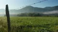 4K Early Morning in Cades Cove 2 4k or 4k+ Resolution