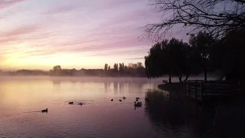 4K early morning mysterious mist above the lake Stock Footage