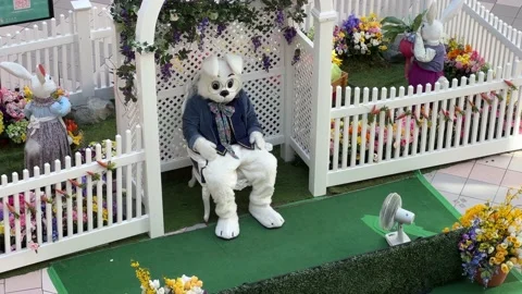 4K Easter Bunny waves to people passing by Video stock 237486643