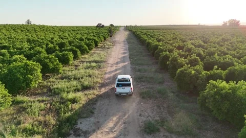 4K Editorial aerial drone tracking shot of white car driving at sunset Stock Footage 335956525