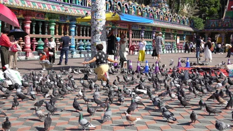 4K Editorial slow motion of a flock of pigeons at Batu Caves temple plaza. 스톡 동영상 337086836
