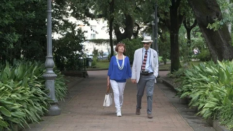 4K elderly couple enjoying a walk in the park Stock Footage 90804137