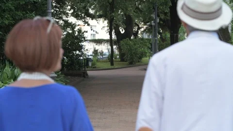 4K elderly couple enjoying a walk in the park holding hands Stock Footage 90804438