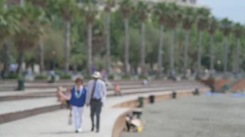 4K elderly couple walking on the beach with palm trees in the background Stock Footage 90803327
