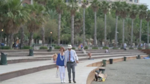 4K elderly couple walking on the beach with palm trees in the background Stock Footage 90803501