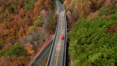 4K Electric Car Driving in Fall Forest Stock Footage 241176153
