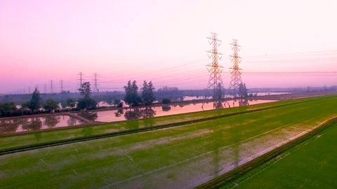 4K, Electric pole, High voltage towers and sky sunset and green rice field Stock-Footage 76636488