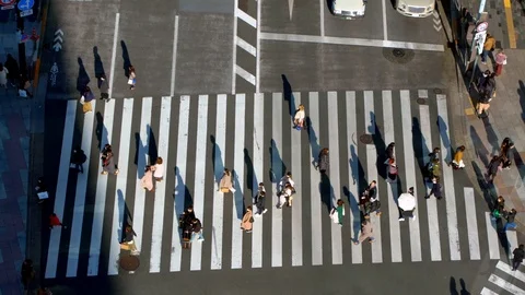 4K, Elevated view over crowd pedestrian crossing in road intersection sunset-Dan Vidéo 125114926