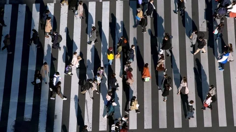 4K, Elevated view over crowd pedestrian crossing in road intersection sunset-Dan Vidéo 125115097