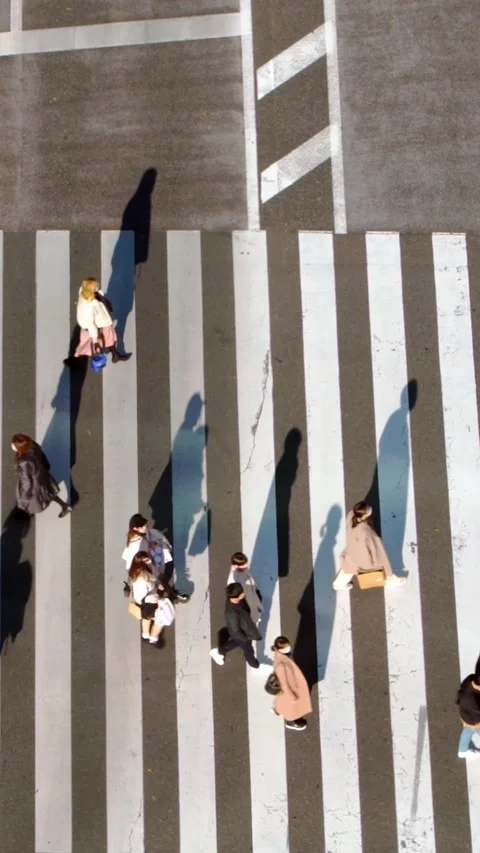 4K, Elevated view over crowd pedestrian crossing in road intersection sunset Stock Footage 314397650