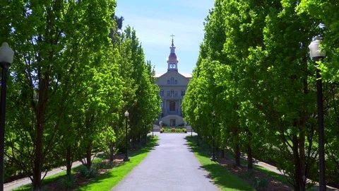 4K Empty Road to Religious Building, Tall Tree Street, Quiet Beautiful Park Path Video stock 76824752
